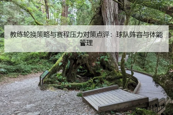 教练轮换策略与赛程压力对策点评：球队阵容与体能管理